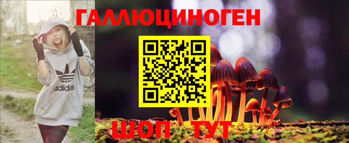 Зеленогорск  Галлюциногенные грибы Magic Shrooms  Вход с VPN 
